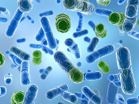 Is natural soap antibacterial