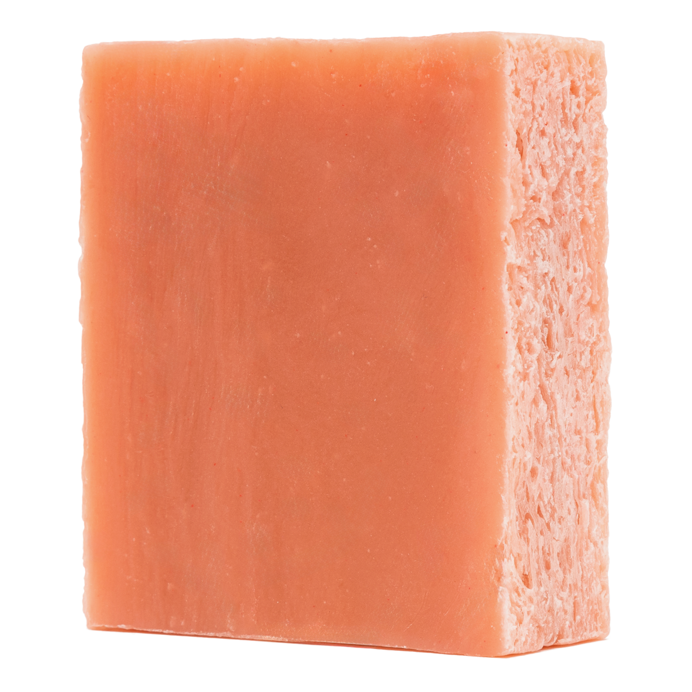 Wild Grove Bundle (Limited Edition) Bar Soap Bearsville Soap Company