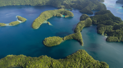 Archipelago Set: Three Island-Inspired Soaps That Bring the Tropics to Your Shower