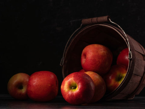 Bumper Crop Set: We Took More Than Our Share