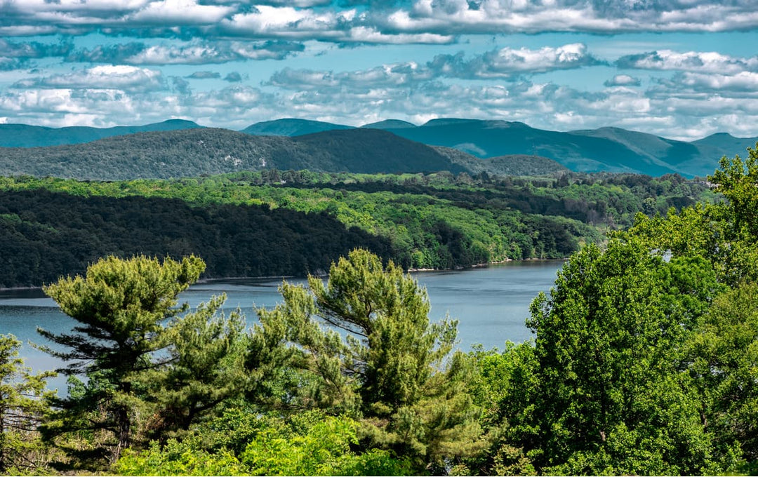 Bearsville, NY: A Hamlet with History and Soul.