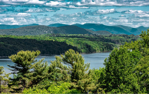 Bearsville, NY: A Hamlet with History and Soul.