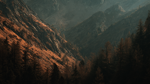 Spiced Timber & Suede Soap: Everyone loves a lone wolf.