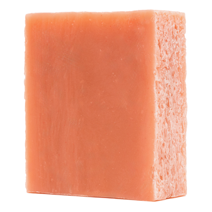 Wild Grove Bundle (Limited Edition) Bar Soap Bearsville Soap Company