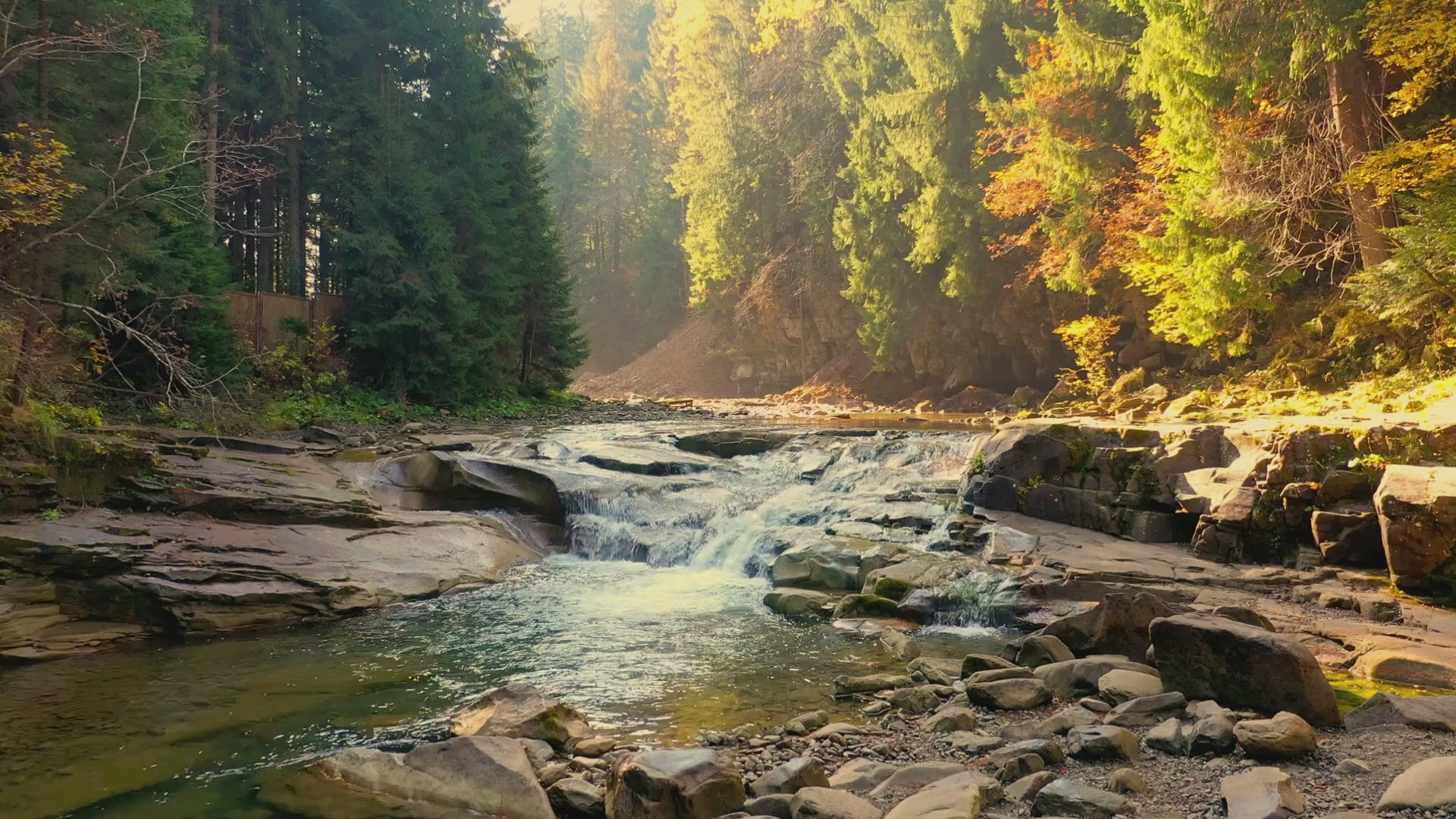 Catskills stream in valley