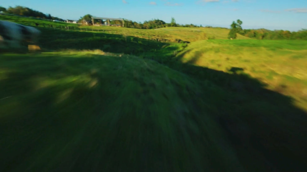 Flying over hillside groves