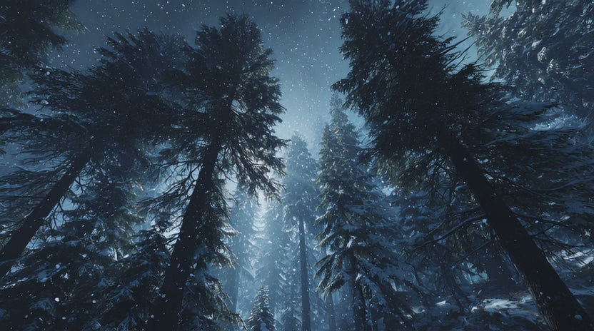 Moonlit forest on a snowy night