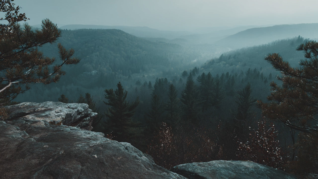 Mountaintop view of rolling forest and valley